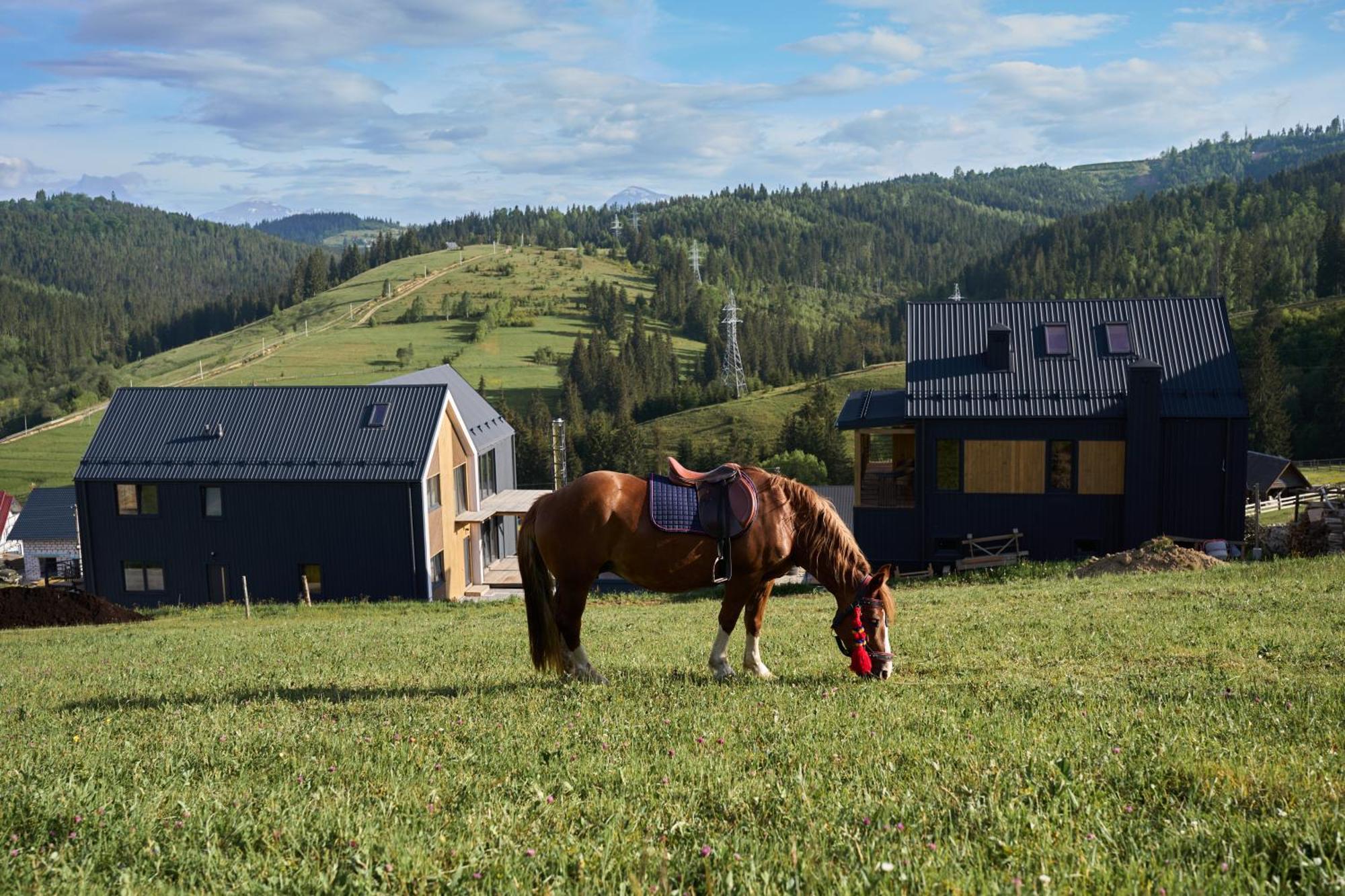 Шале Green Land Bukovel Kültér fotó
