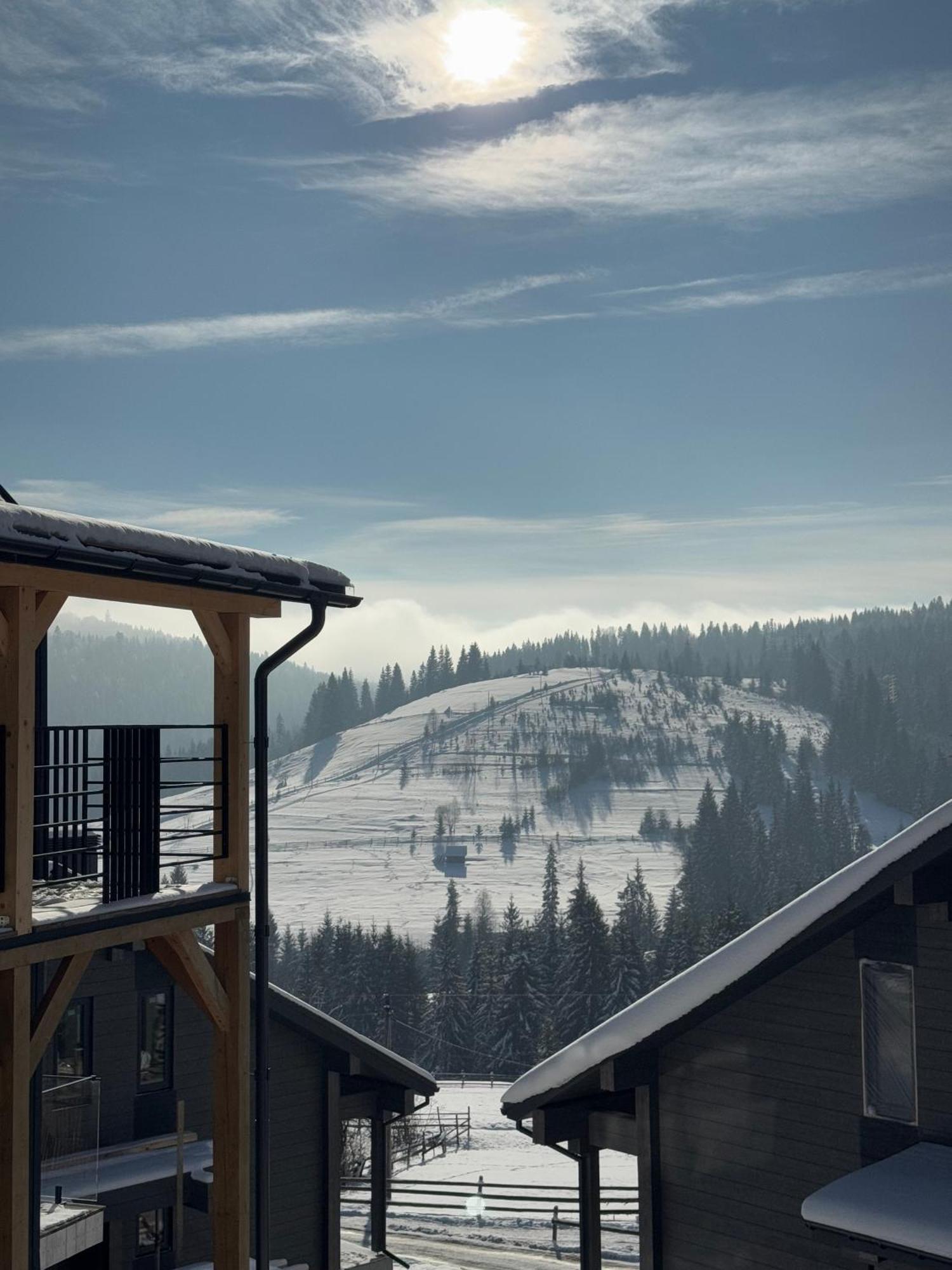 Шале Green Land Bukovel Kültér fotó